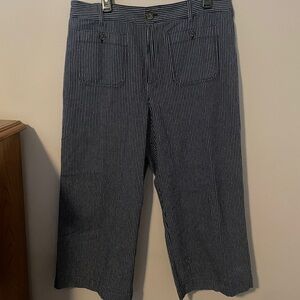 LOFT Navy and White Striped Pants